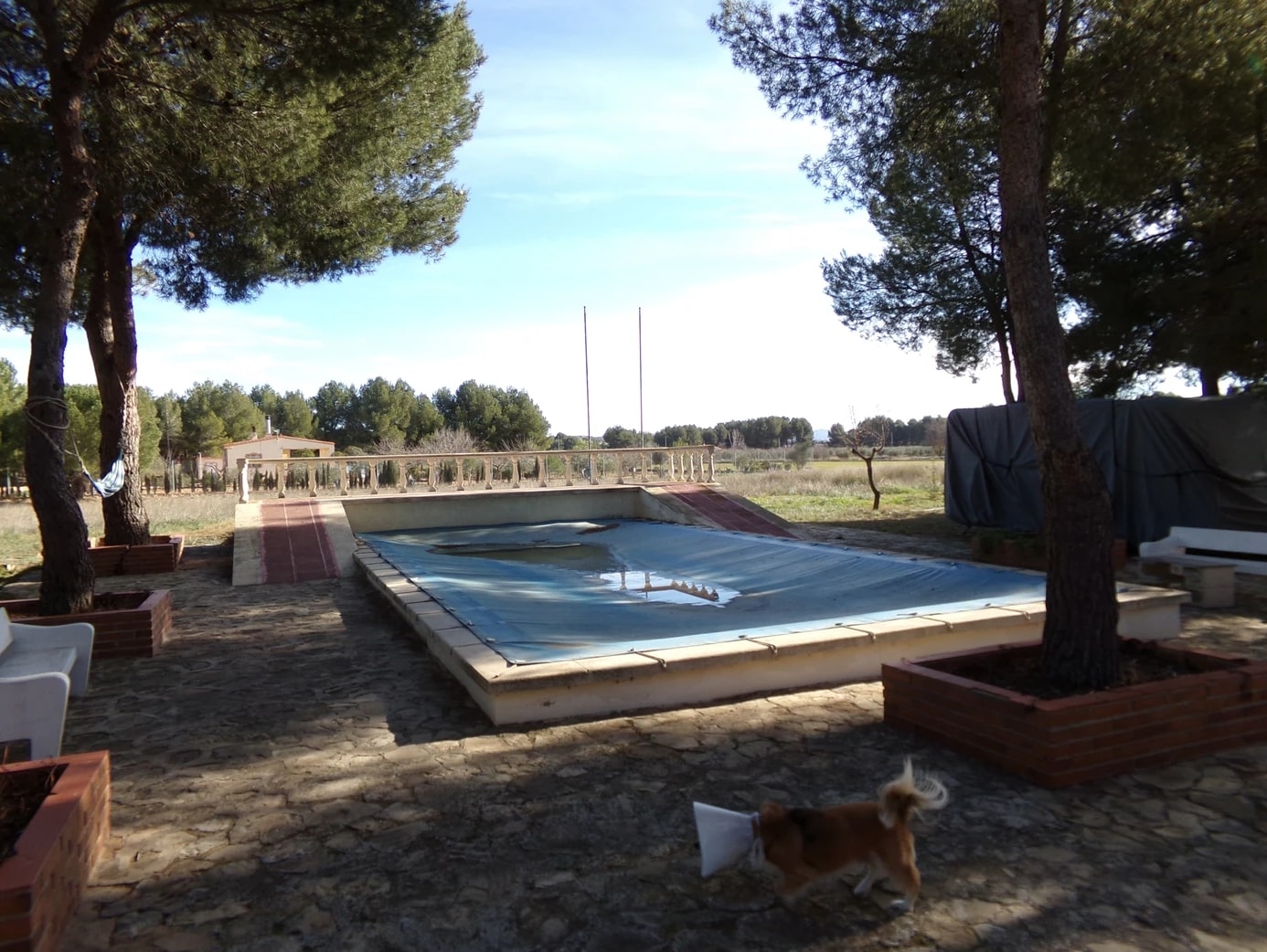 Screenshot-2023-03-07-at-13.30.55