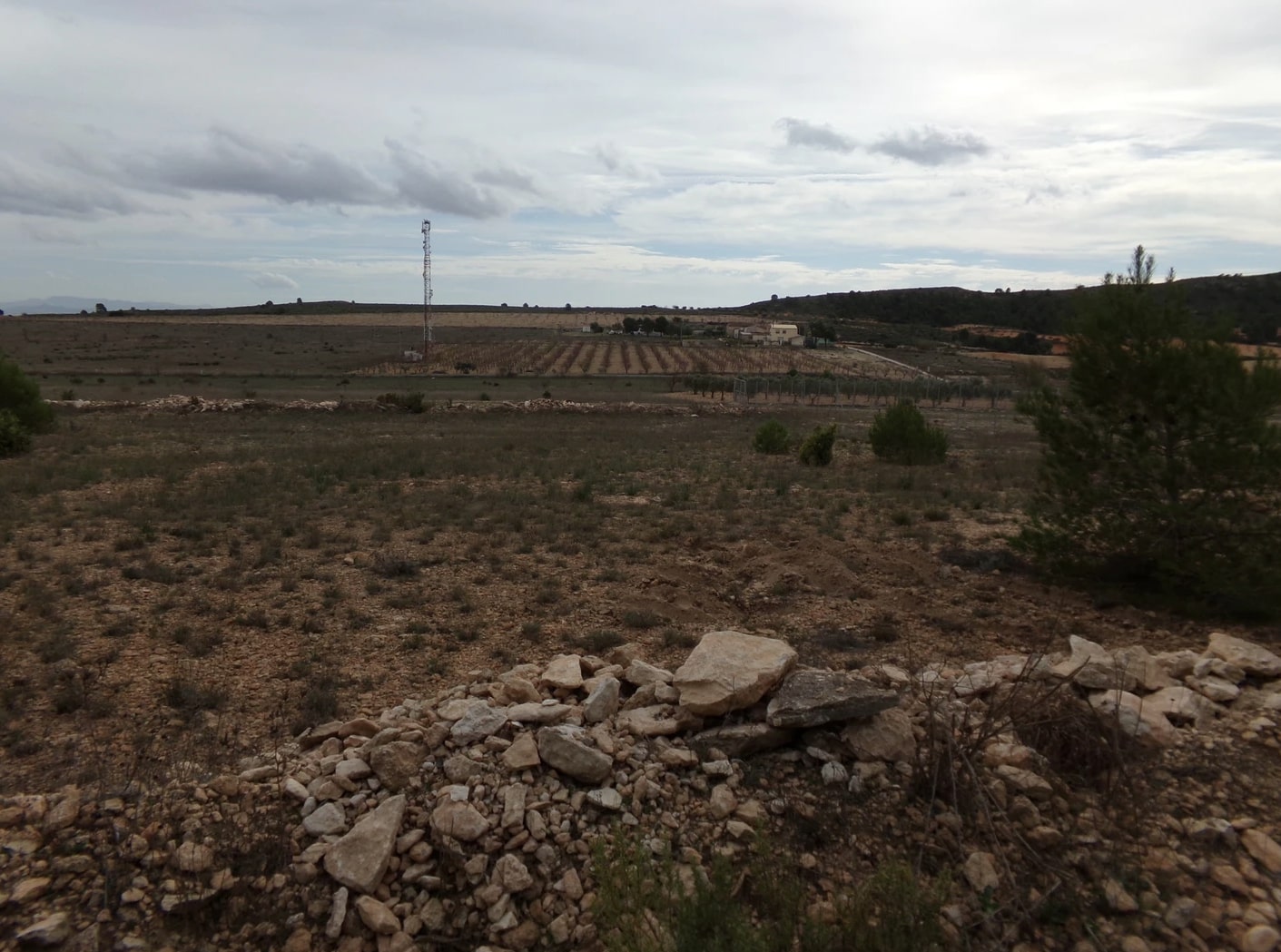 Screenshot-2023-03-07-at-15.24.31-1