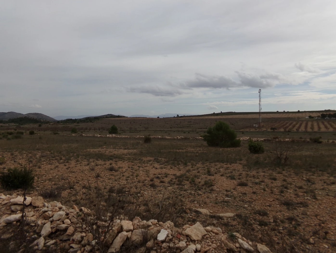 Screenshot-2023-03-07-at-15.24.38-1