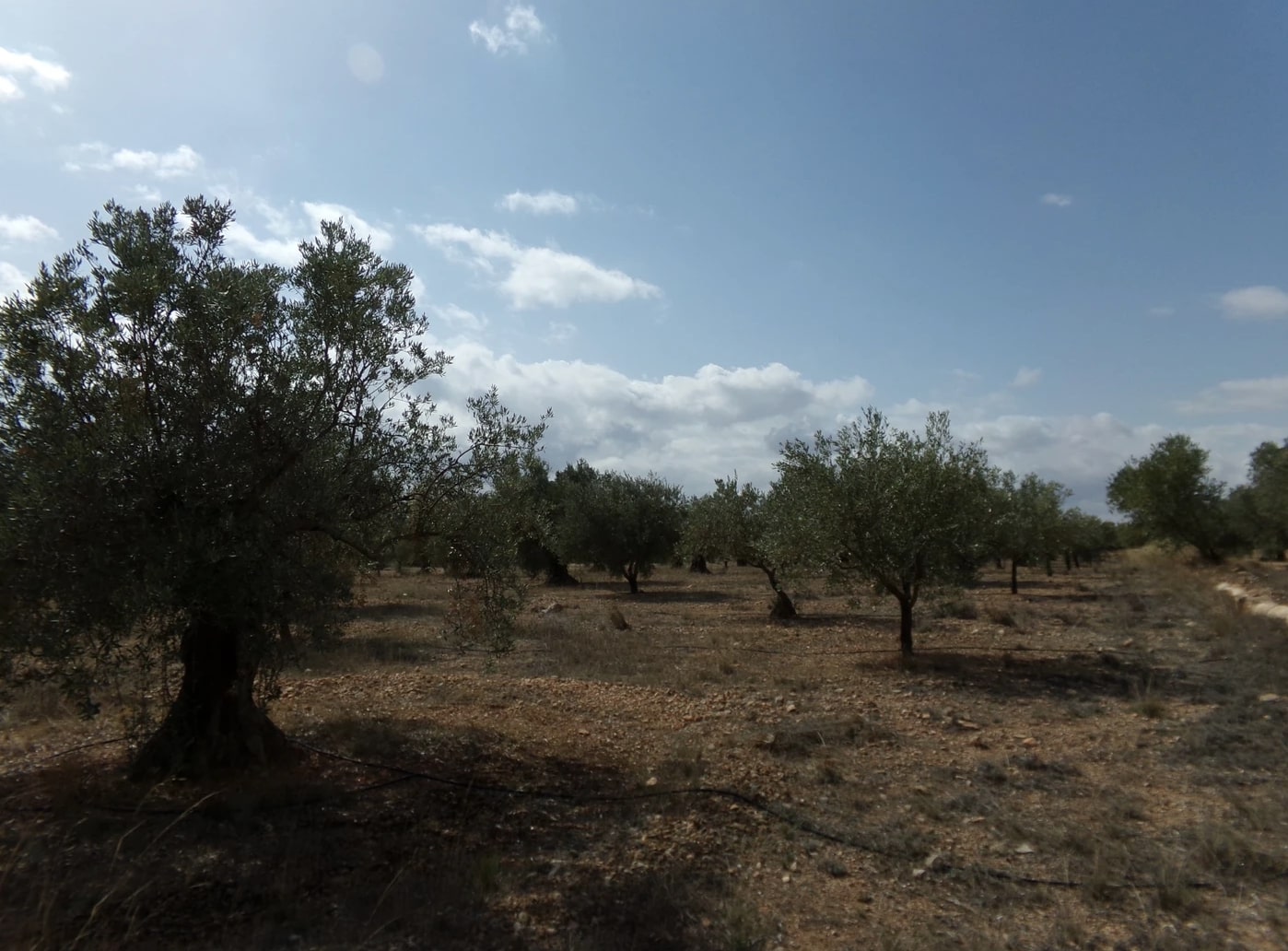 Screenshot-2023-03-07-at-17.34.49