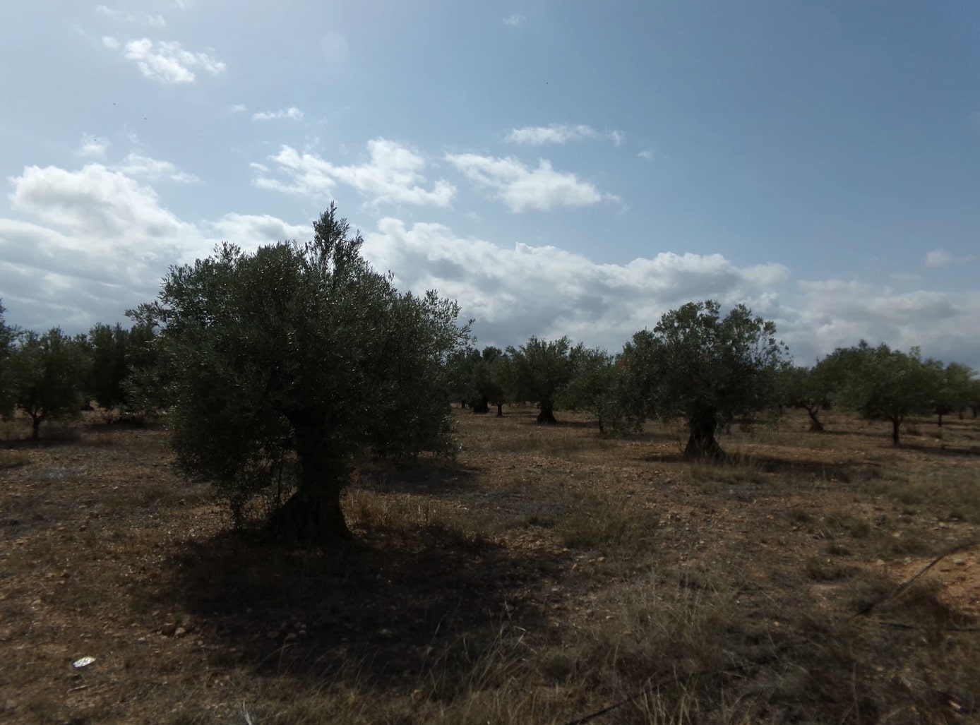 Screenshot-2023-03-07-at-17.34.54