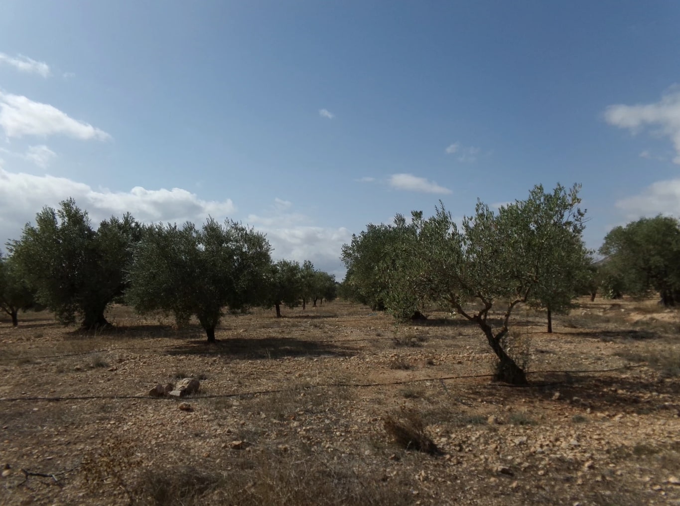 Screenshot-2023-03-07-at-17.35.05