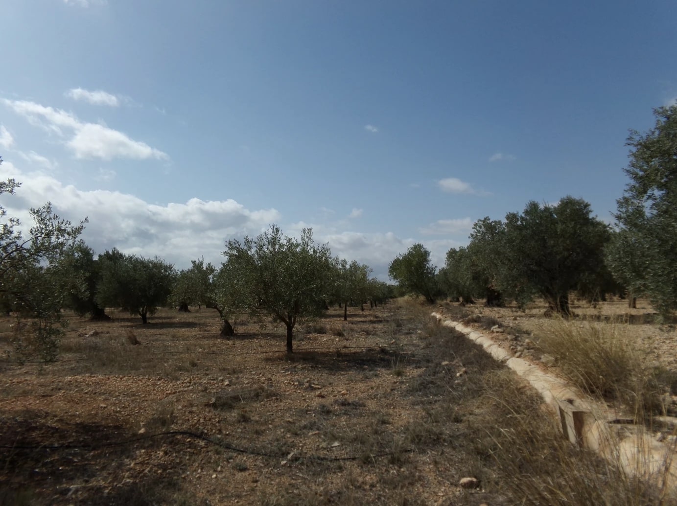 Screenshot-2023-03-07-at-17.35.10