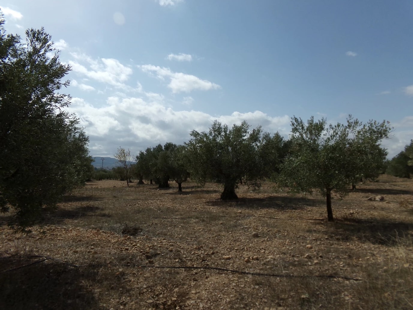 Screenshot-2023-03-07-at-17.35.15