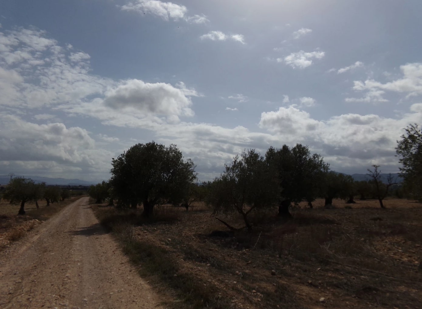 Screenshot-2023-03-07-at-17.35.21