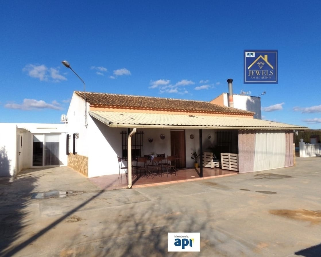 IMG-20260306-WA0019-1