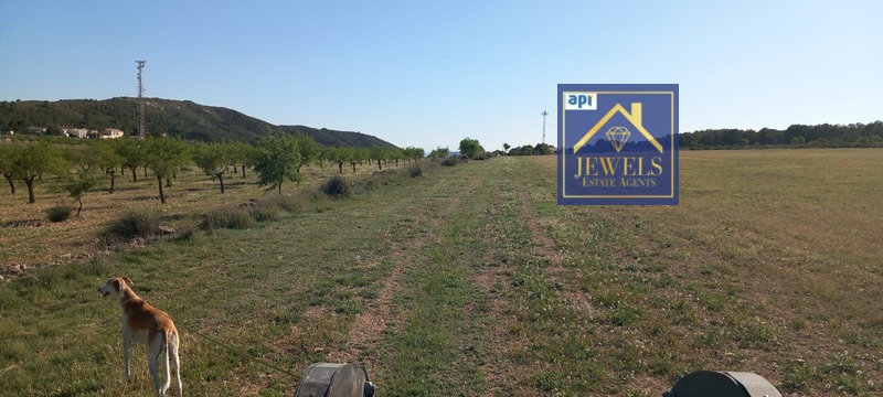 IMG-20260505-WA0001