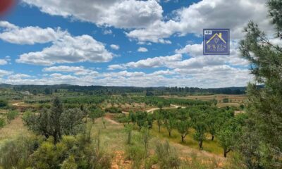 IMG-20260728-WA0010